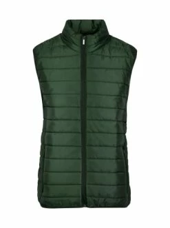 Budget ⭐ Jacken & Mäntel Behype Steppweste STANLAY In Khaki Günstig Kaufen 🛒